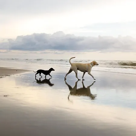 Puddleduck - Part Of The The Bay Village With Pool, Gym And Direct Access, Pub, Restaurant, Tennis And Meadows Walks Ferienhaus Filey