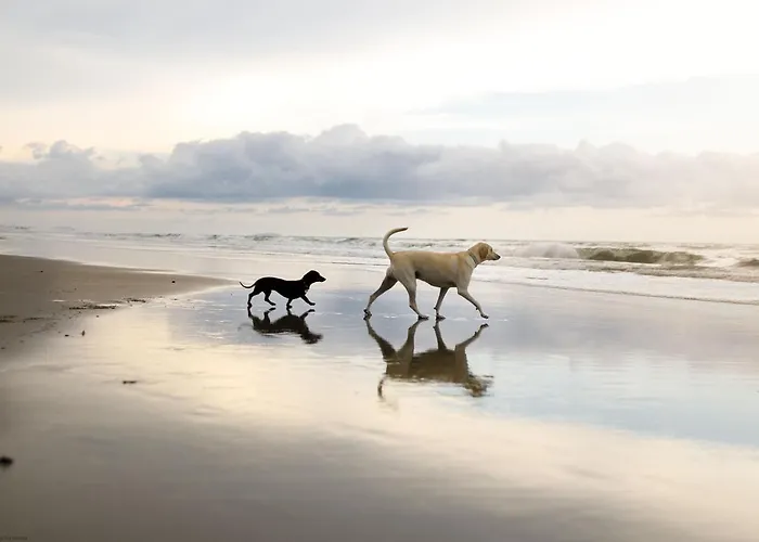 Puddleduck - Part Of The The Bay Village With Pool, Gym And Direct Access, Pub, Restaurant, Tennis And Meadows Walks Holiday home Filey